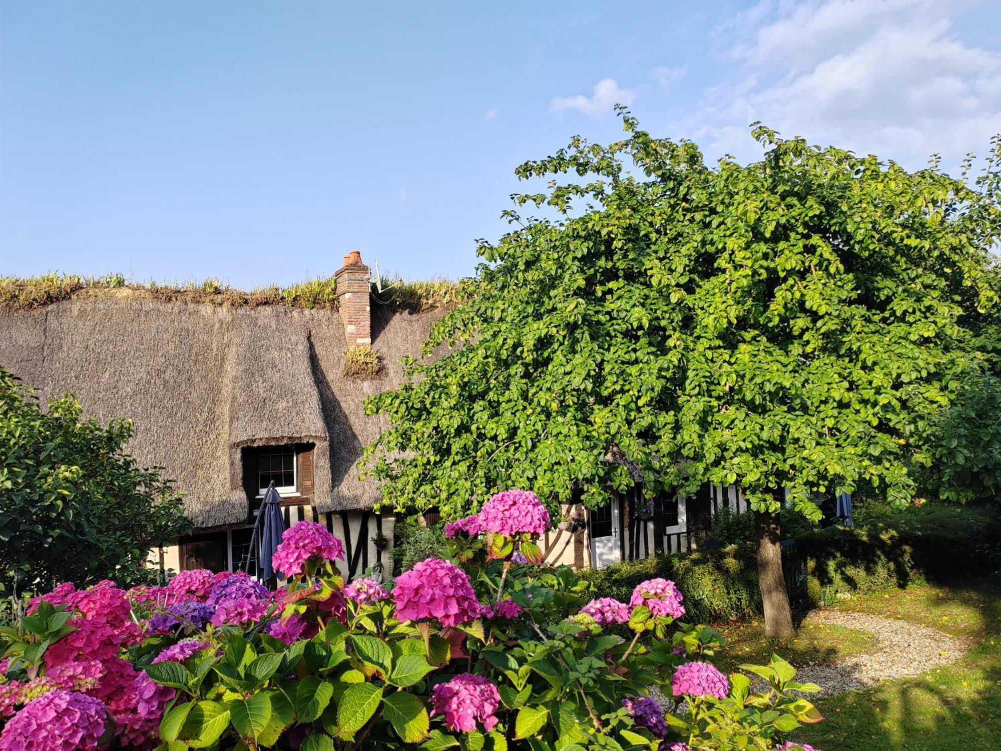 La Maraiquaise Villa Marais-Vernier Luaran gambar