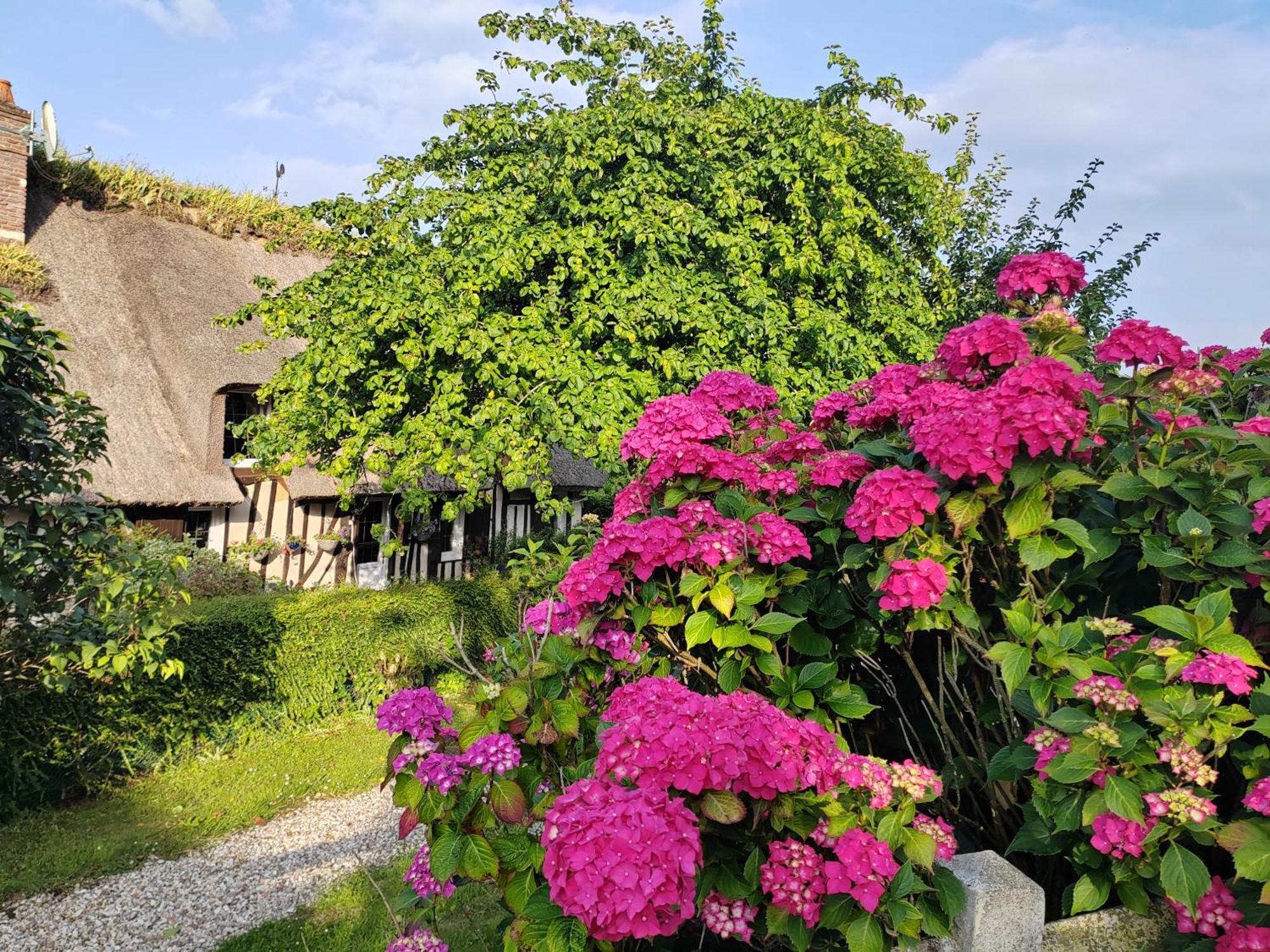 La Maraiquaise Villa Marais-Vernier Luaran gambar